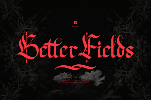 Better Fields Font for Creative Projects