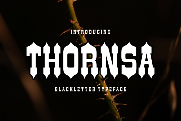 Thornsa: A Timeless Typeface for Digital Marketing